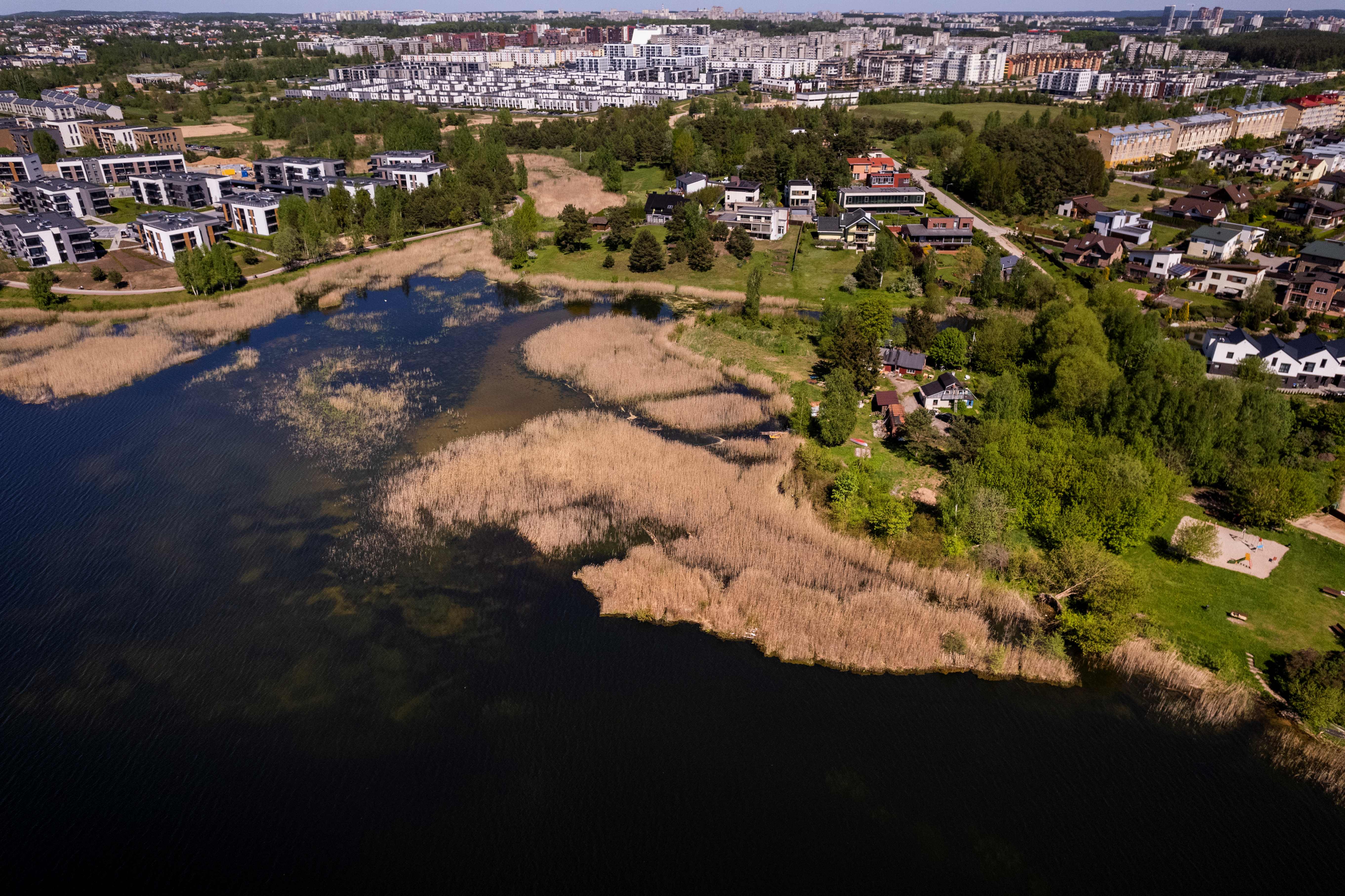Pilaitė / Organizatorių nuotr.