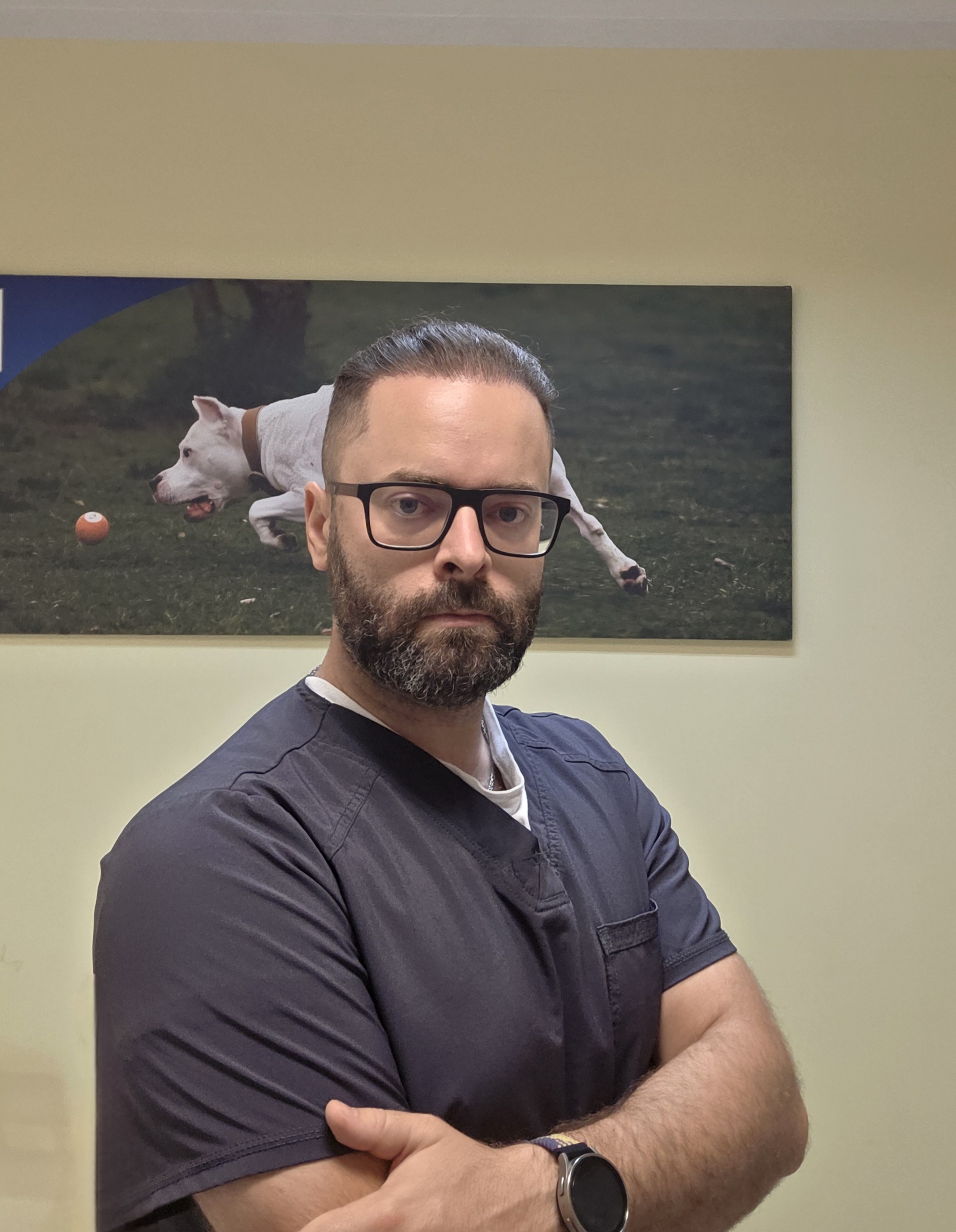 Visa tiesa apie skanėstus: veterinaro patarimai, kaip neperšerti kačių