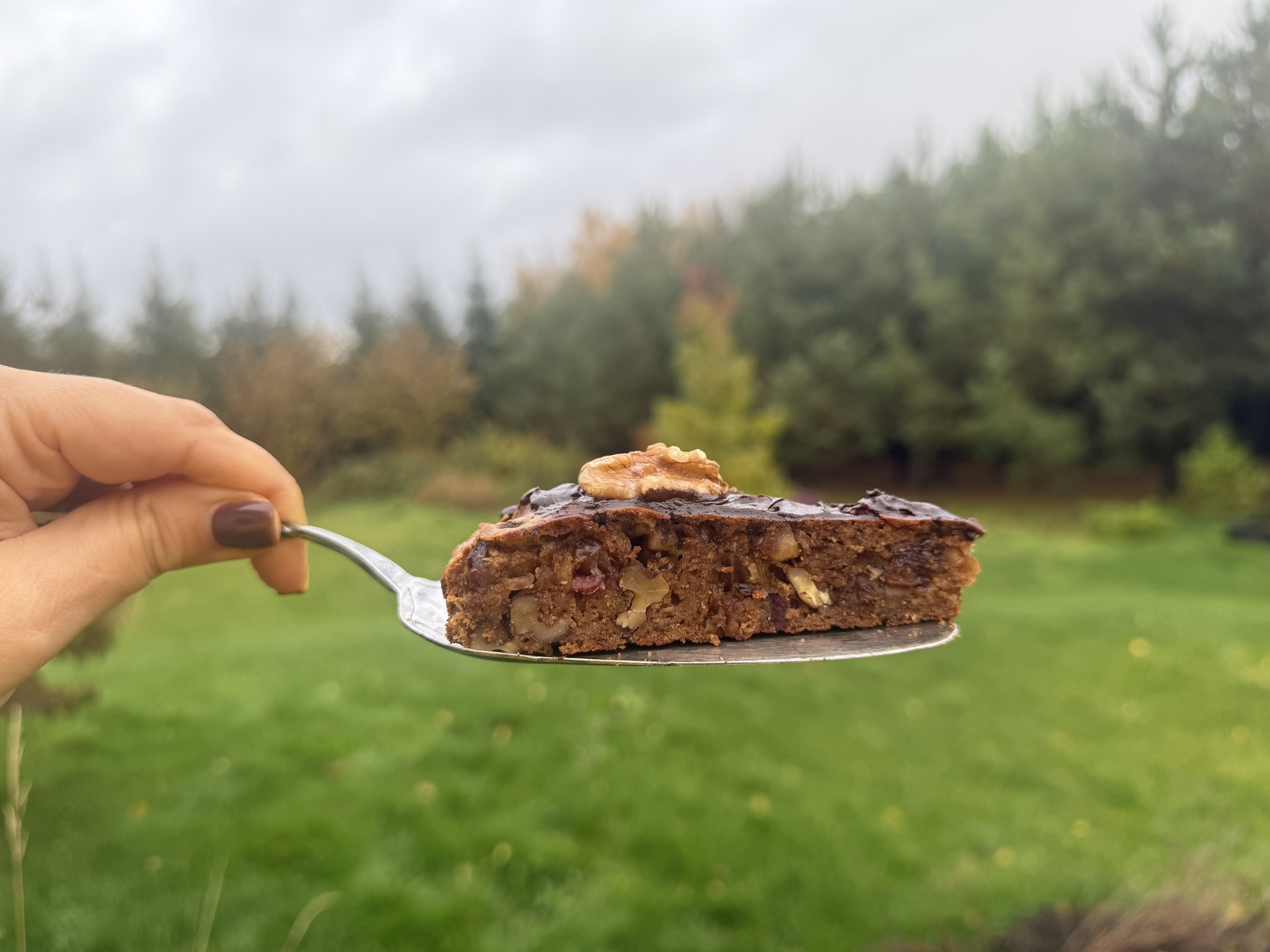 Be cukraus ir laktozės: tinklaraštininkė Živilė pasidalino sveikuolišku kavos pyrago receptu vėsiam rudeniui