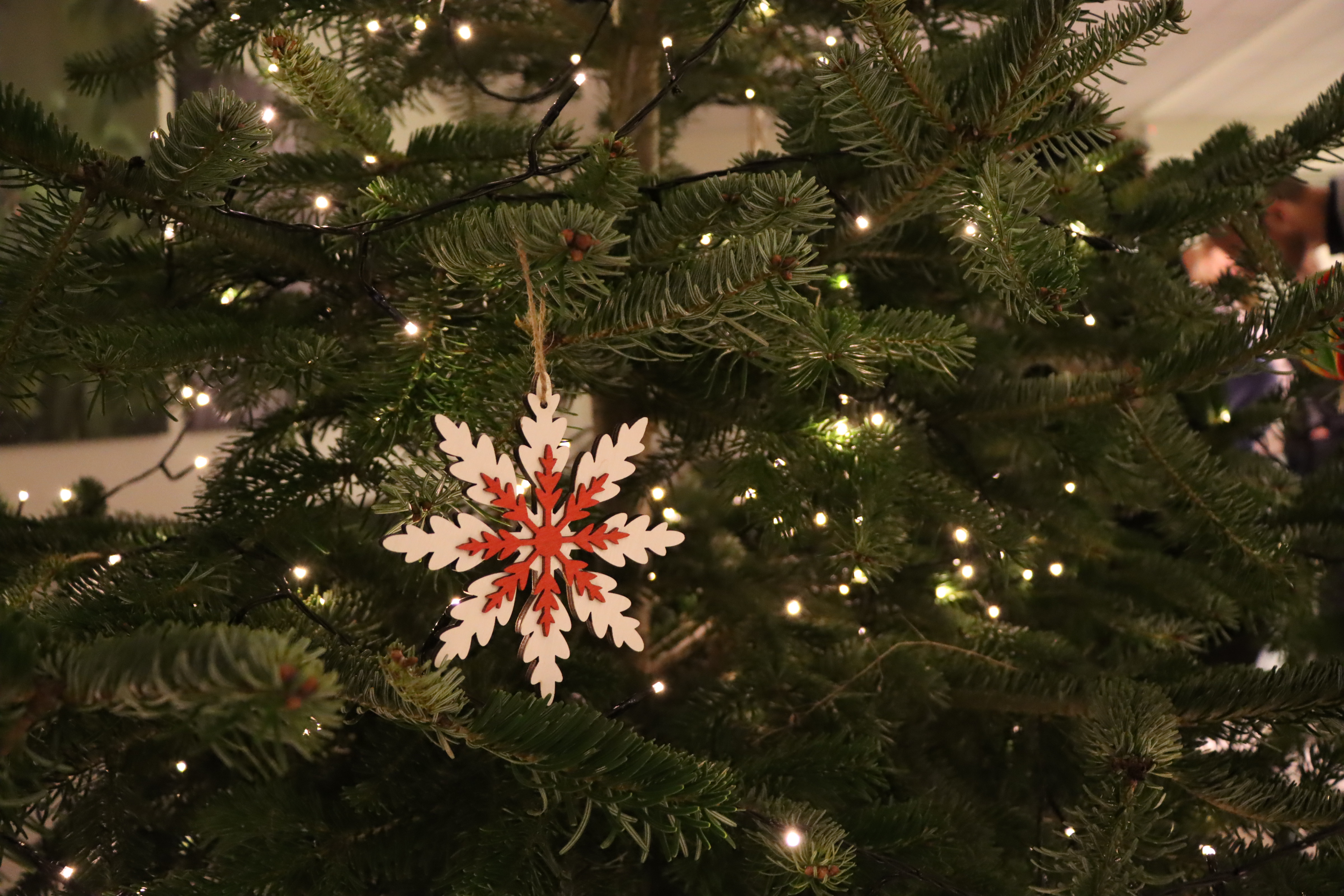 Nupuošėte eglutę? Miškininkai atsakė, ką su ja daryti, kad ji netaptų problema