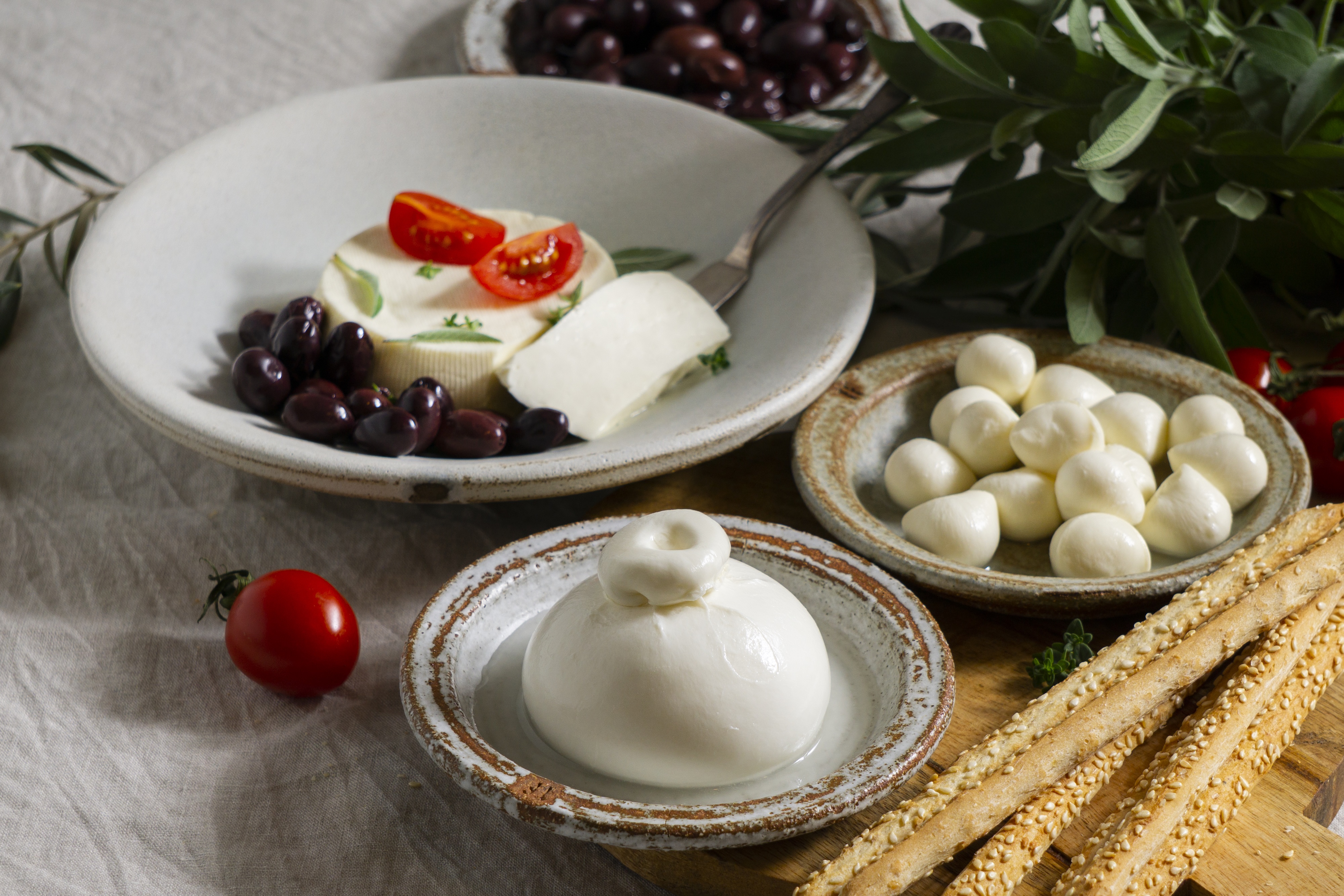 Itališki sūriai: mocarela / Pranešimo aut. nuotr.