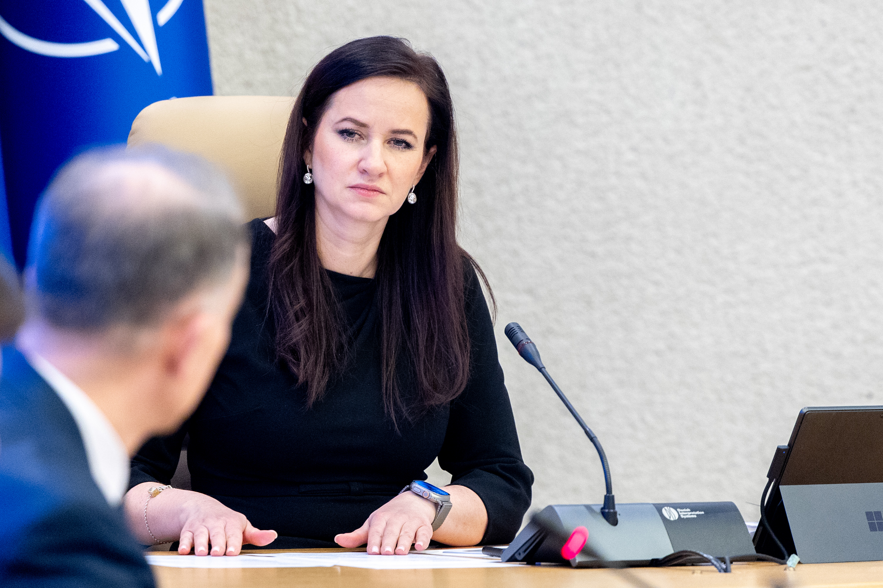 Strateginis proveržis: „Harmony Link“ jungties atidarymas ankstinamas iki 2029 m.