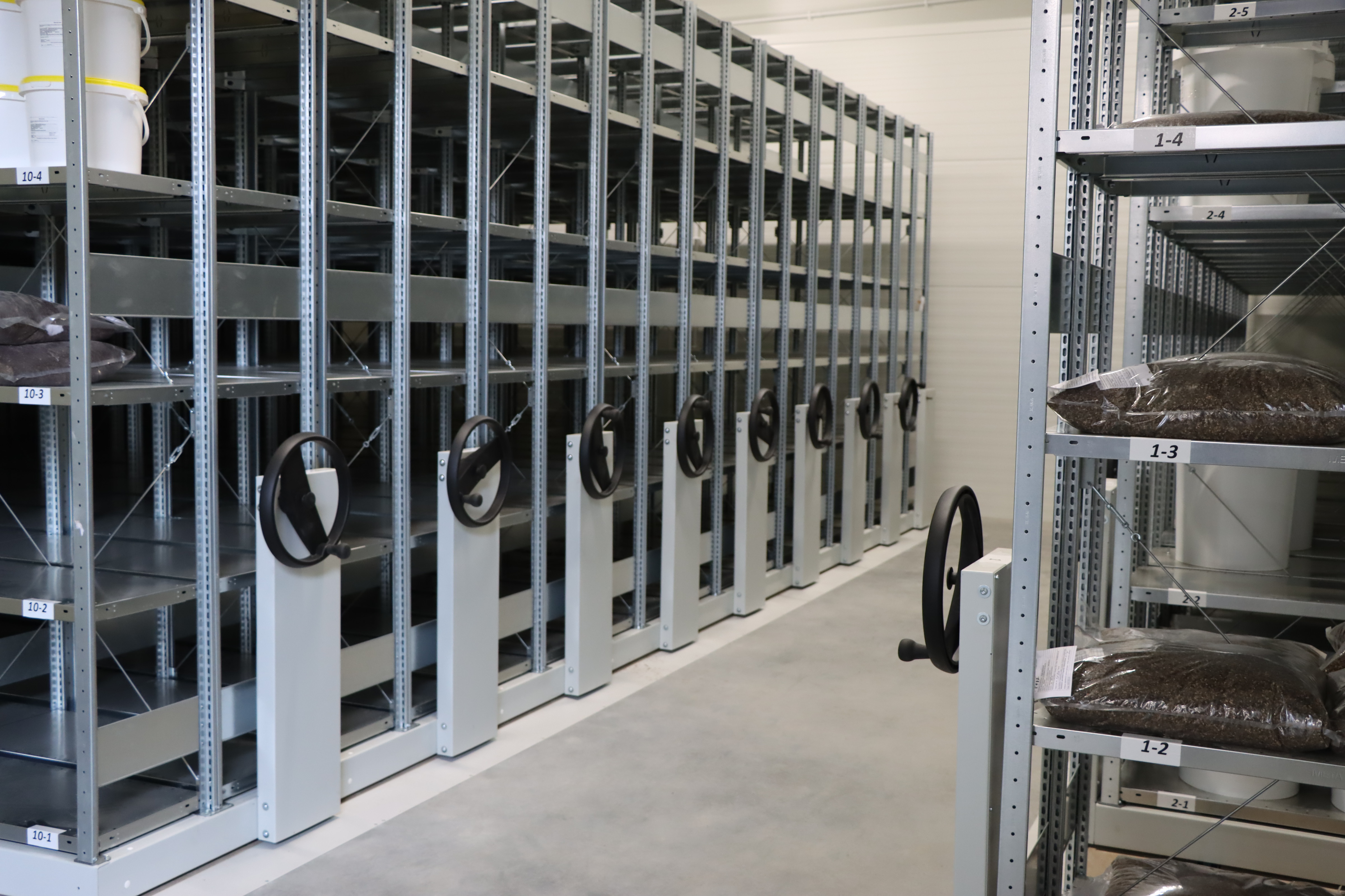Panevėžio medelyne – moderni sėklų saugykla miškų ateičiai