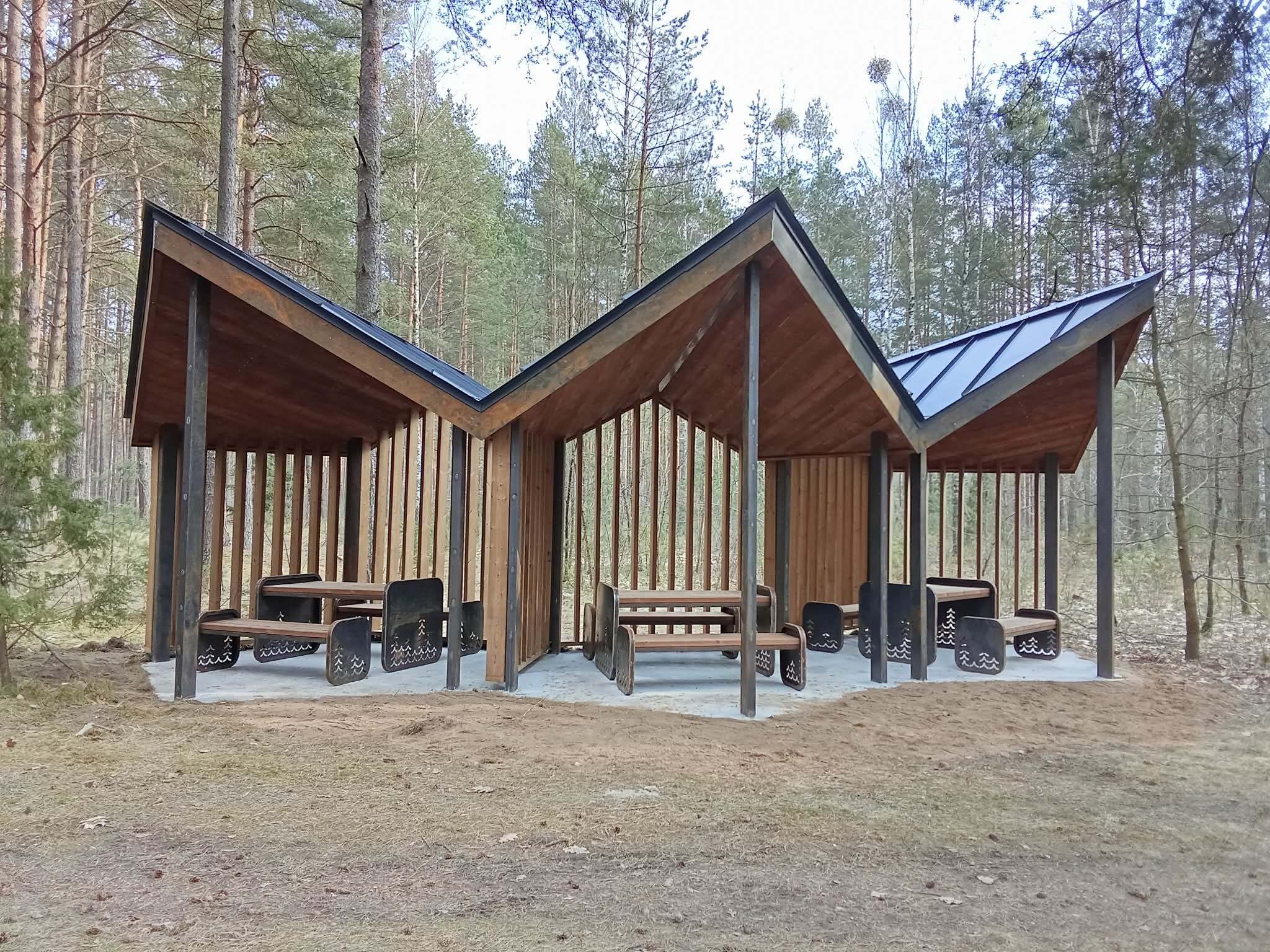 Lietuvos miškuose – pavasario darbai: bus pasodinta 29 mln. medžių
